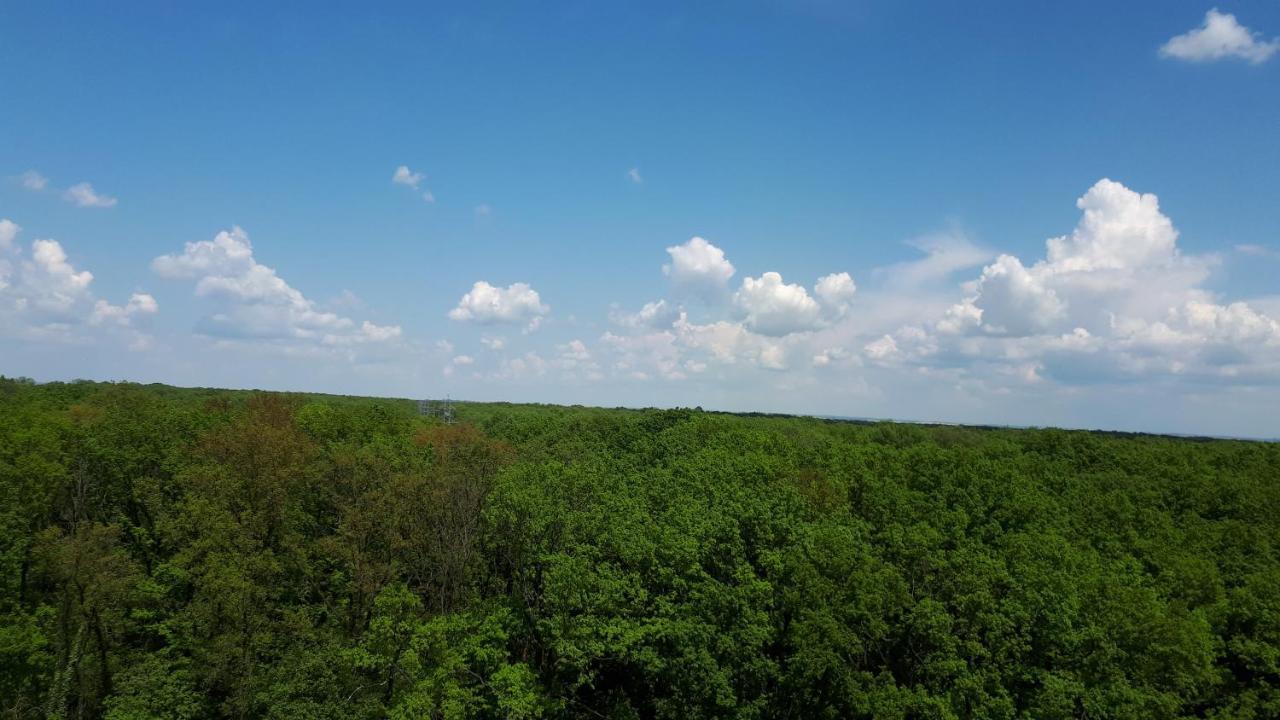 טימישוארה Foresthouse 2 מראה חיצוני תמונה